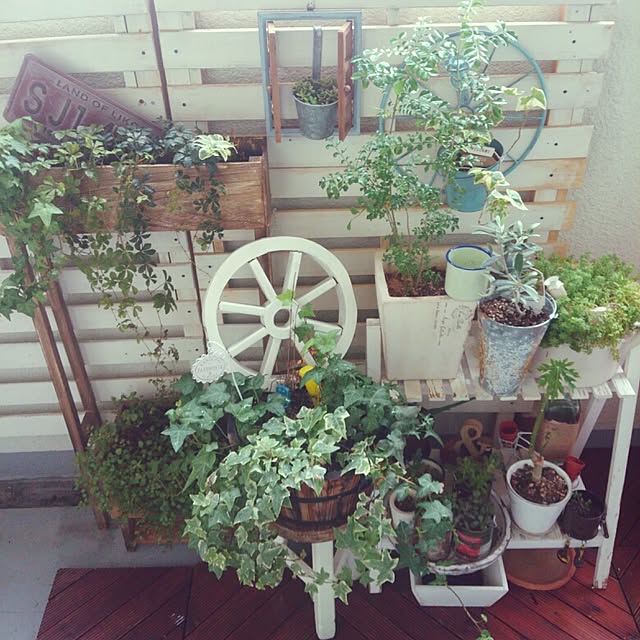 chiさんの実例写真