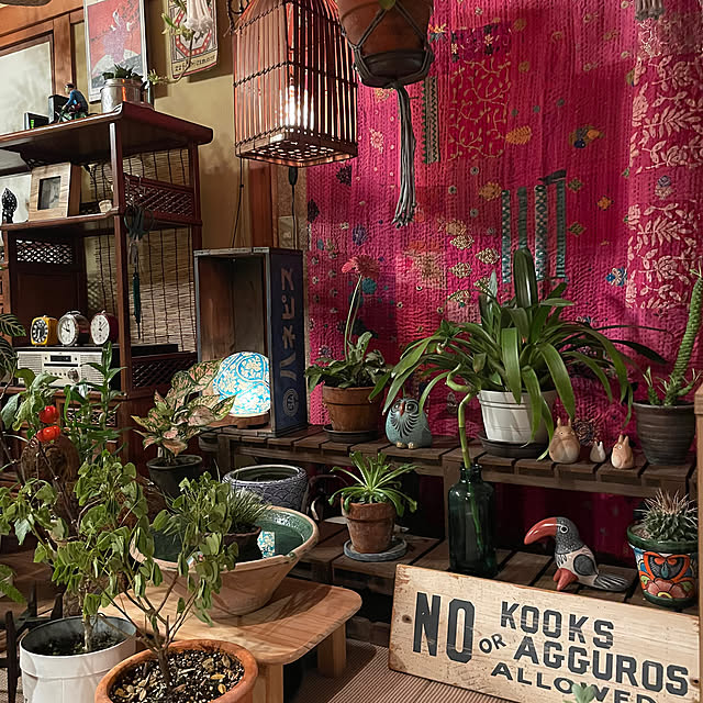 shin0719さんの実例写真