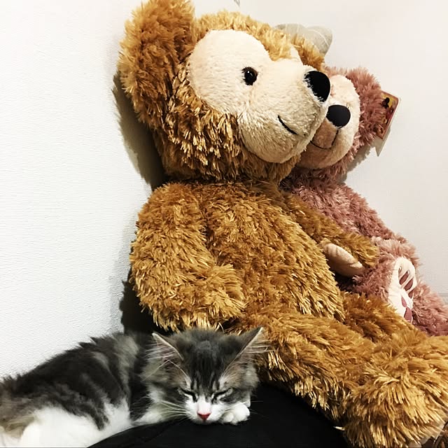 Namiさんの実例写真