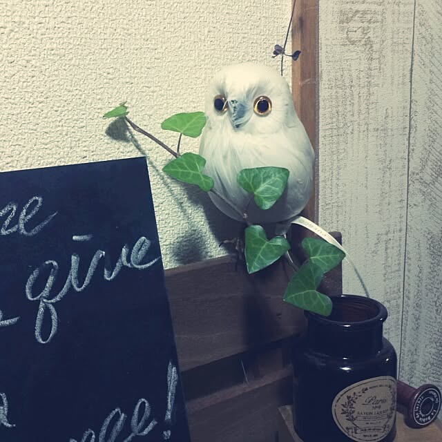 dezさんの実例写真