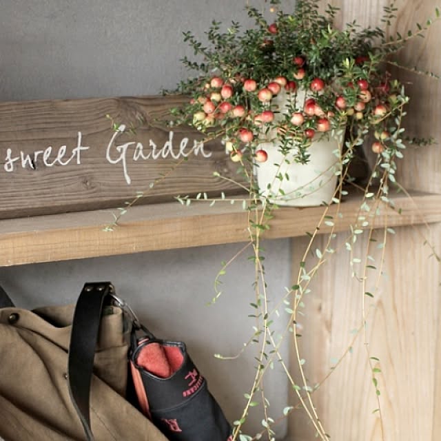 Junk_sweet_Garden_teftefさんの実例写真