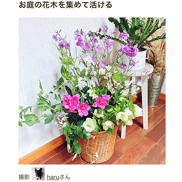 haruさんの実例写真