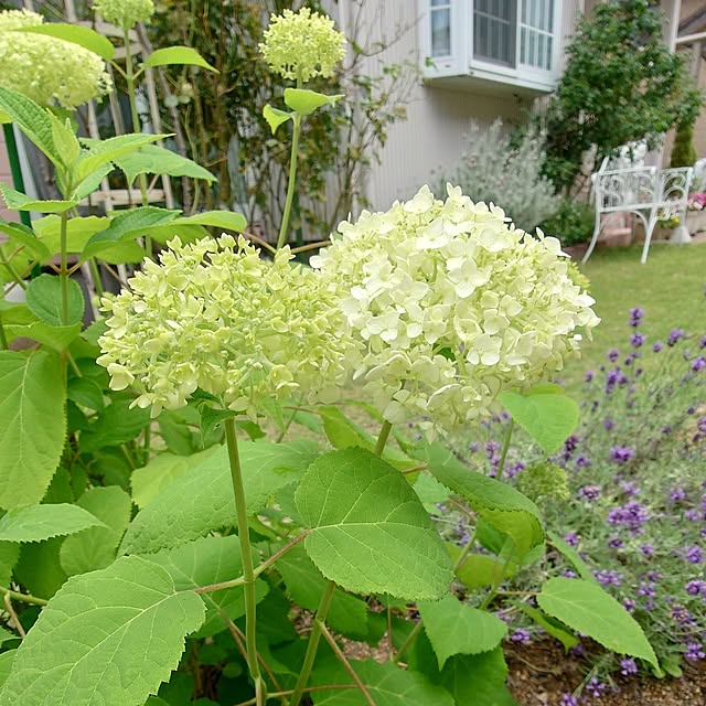 fleur-mamanさんの実例写真