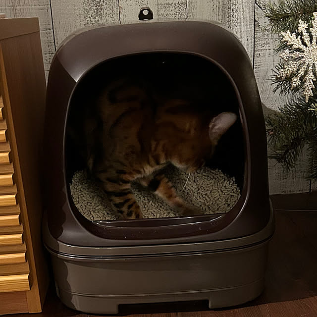 shihoさんの部屋