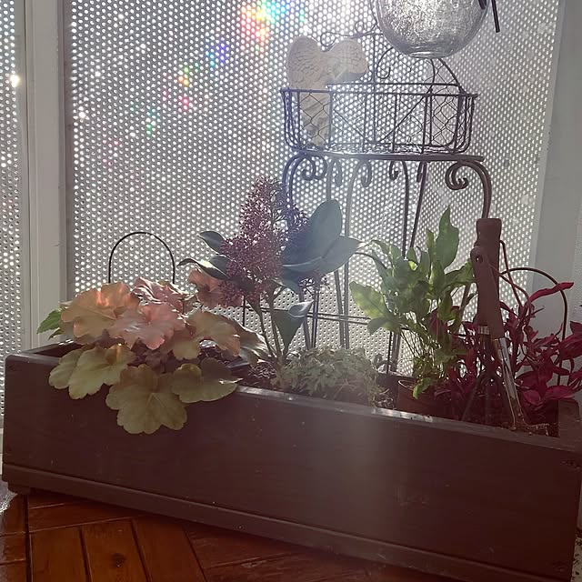 mana_iroさんの実例写真
