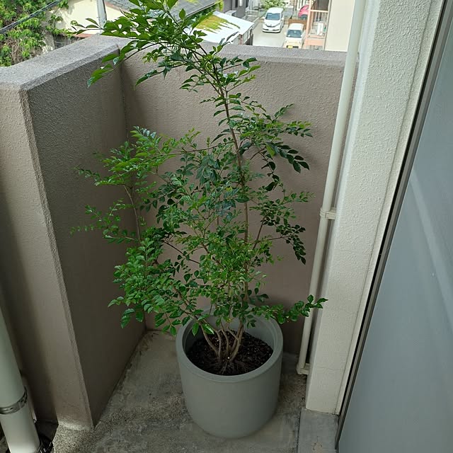 primaloftさんの実例写真
