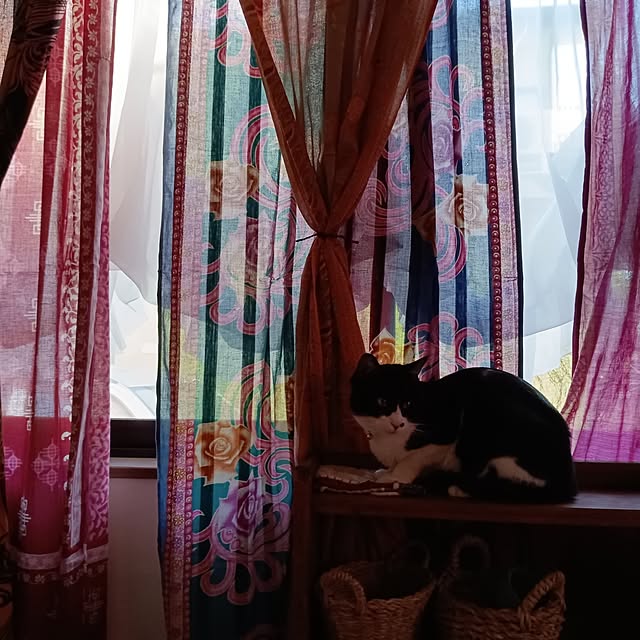amoさんの部屋