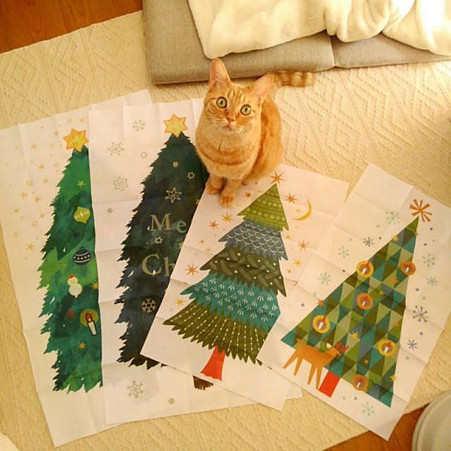 mayutan.さんの実例写真