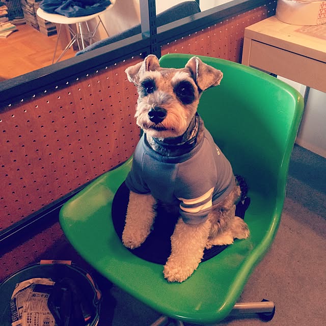 Youkiさんの実例写真