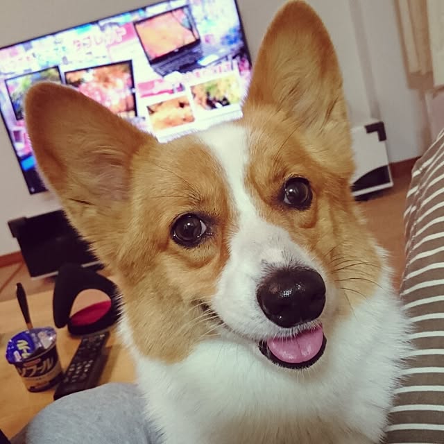 minksunさんの実例写真