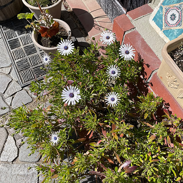 shin0719さんの実例写真