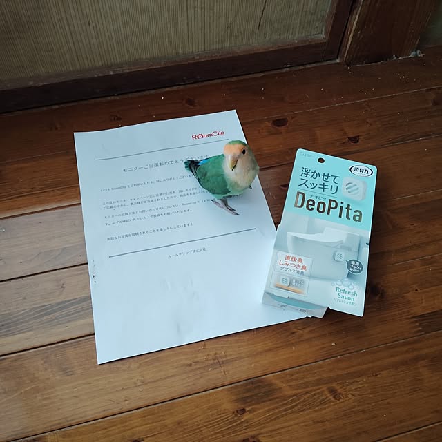 aoinokimiさんの実例写真