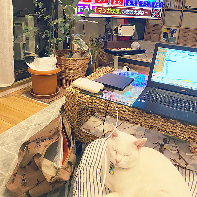 hanaさんの実例写真