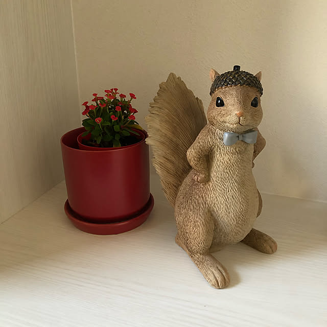 cindyhewittさんの実例写真