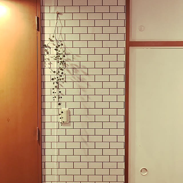 tama_yukiさんの実例写真