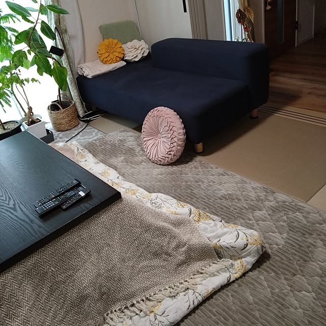 chocococoaさんの実例写真