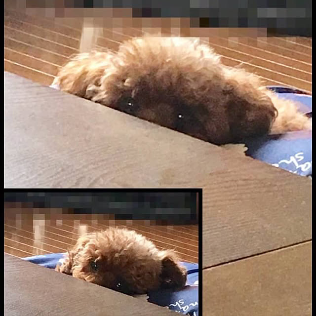 MIYUさんの実例写真