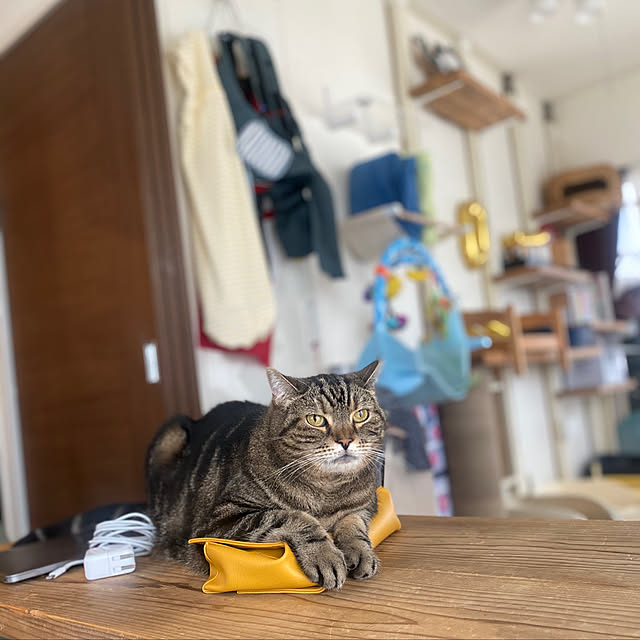 mikomaruさんの実例写真