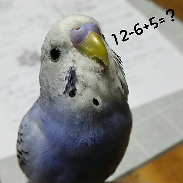 karinさんの実例写真