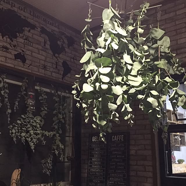 natulove0418さんの実例写真