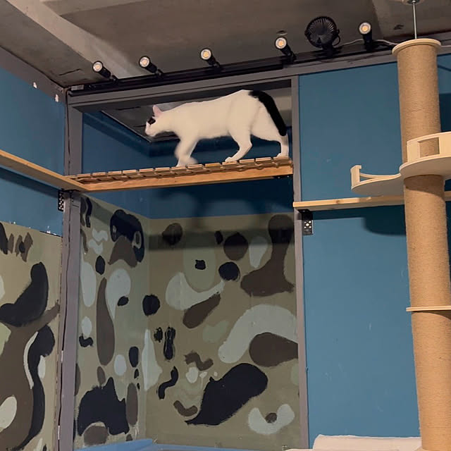 yuutamamehimaさんの部屋