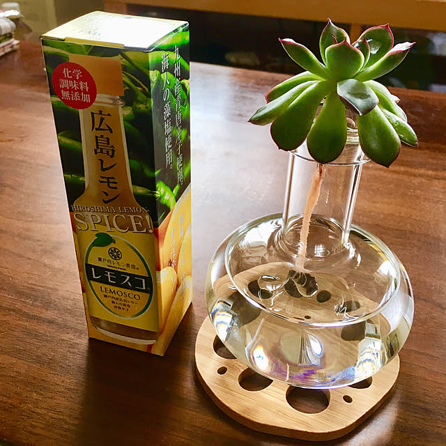 リビング/多肉植物のインテリア実例 - 2018-05-27 13:53:31