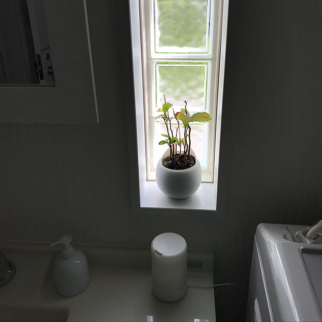 WestGermanyさんの実例写真