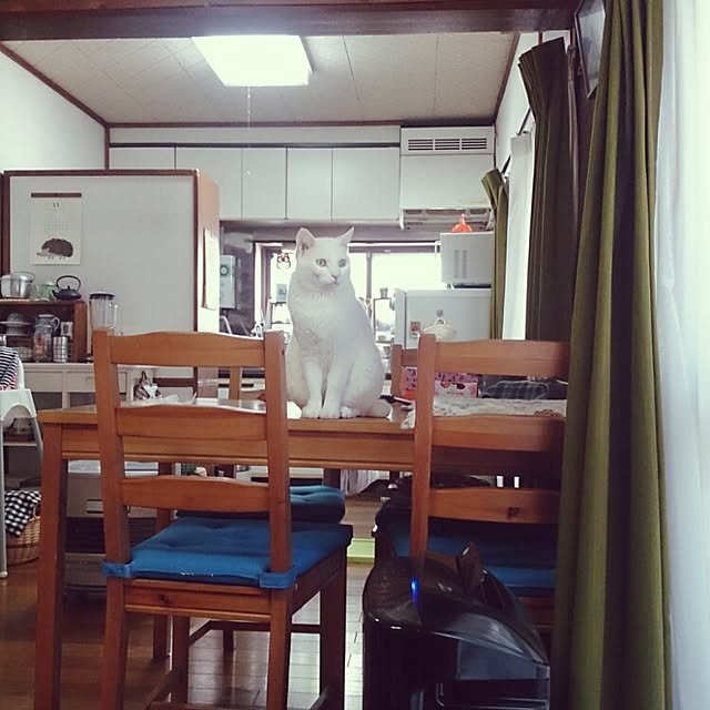 amifuuさんの実例写真