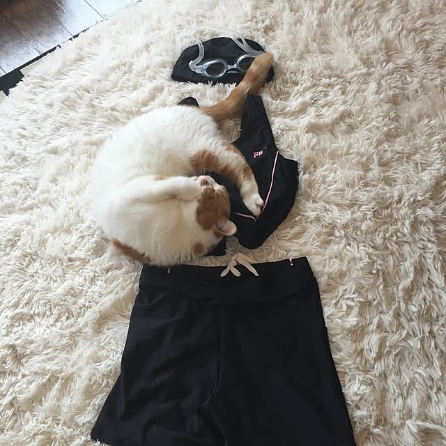 chi_kaさんの実例写真