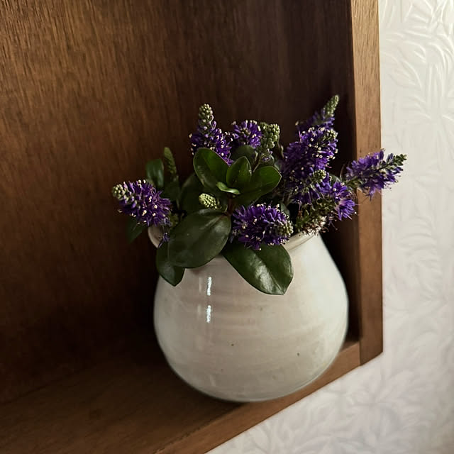 mamizaさんの部屋