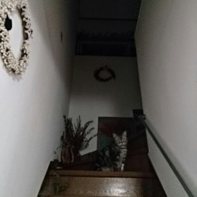 CHARさんの実例写真