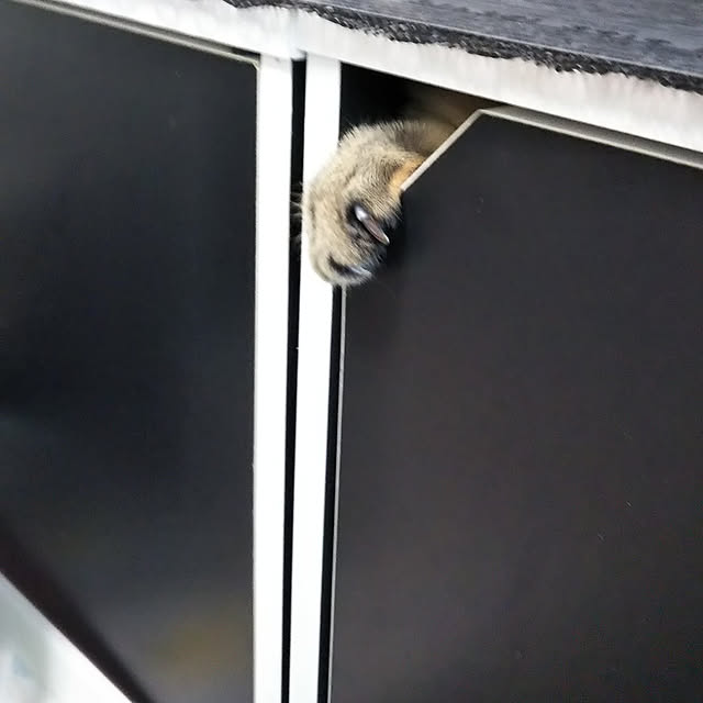 runaさんの実例写真