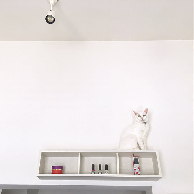 tokotokoさんの実例写真