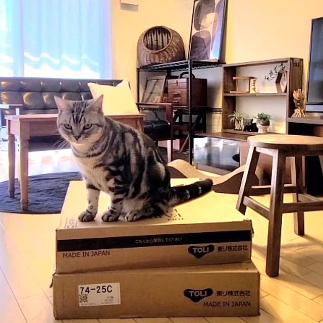 lovepeaceさんの部屋