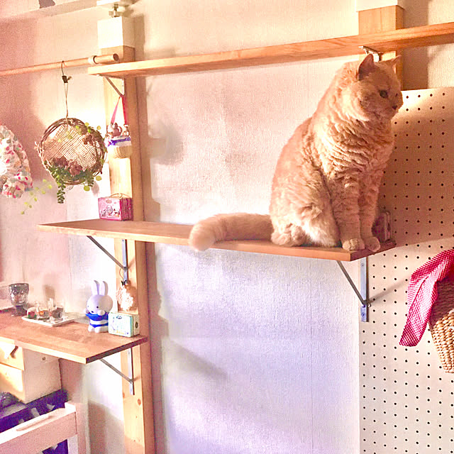 naokoさんの部屋