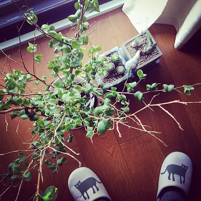 aknb08さんの実例写真