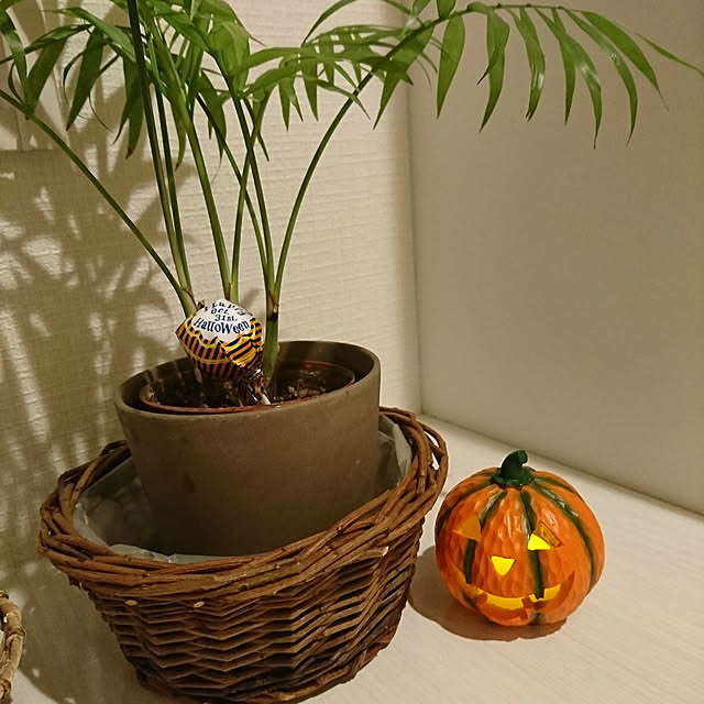 okyanさんの実例写真
