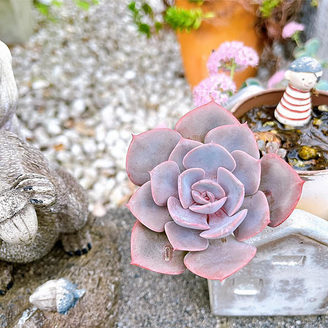 eriharuさんの部屋