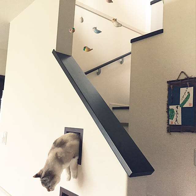 nanaさんの実例写真