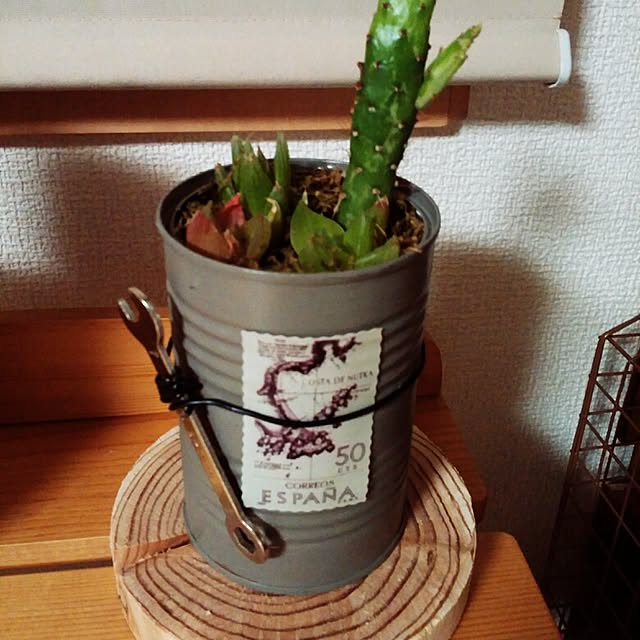 ayuminさんの実例写真