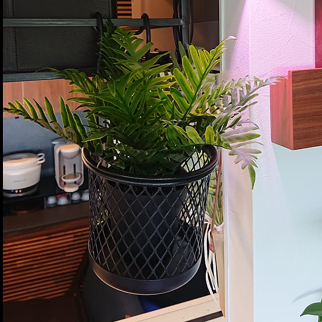 chokosutaさんの実例写真