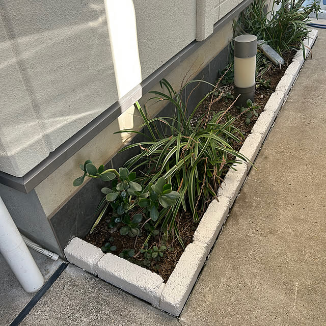 Momooさんの実例写真