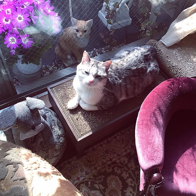 emmyyさんの実例写真