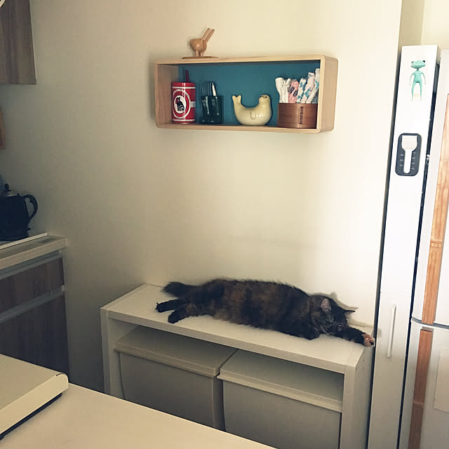 mikomaruさんの実例写真