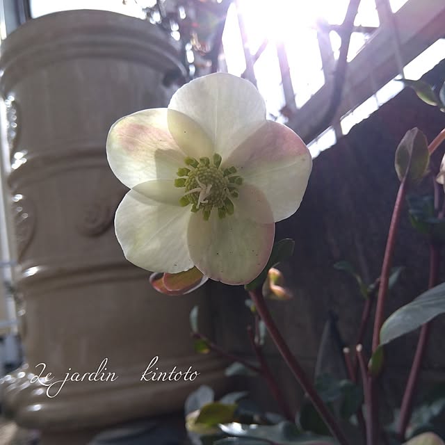 kintoto07さんの実例写真
