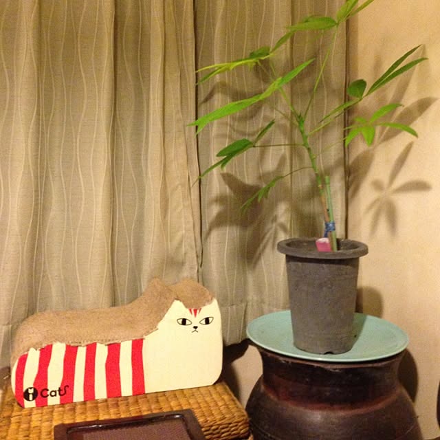 sayabananaさんの実例写真