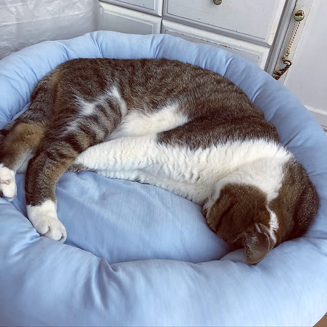 nnmmさんの実例写真