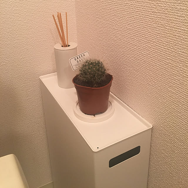 supongiさんの実例写真
