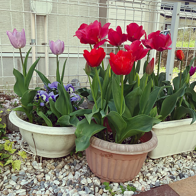 Rikimaさんの部屋