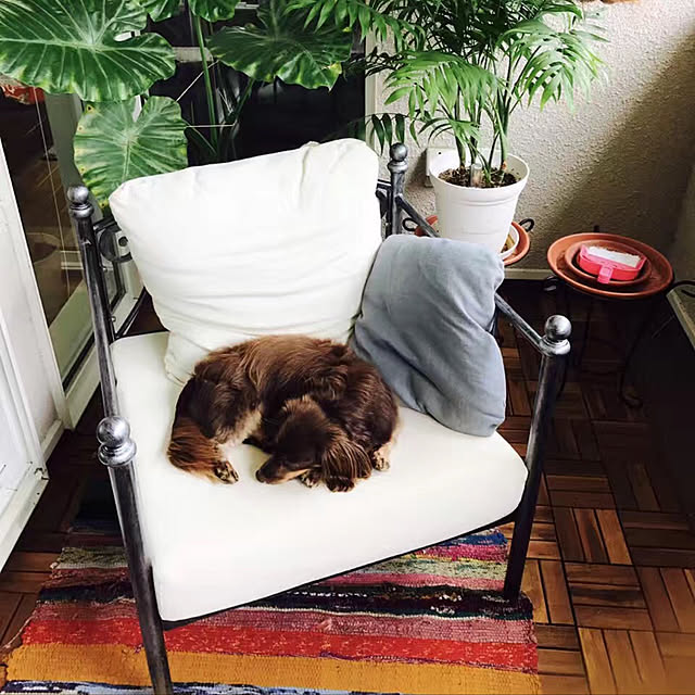 AKIRAさんの実例写真